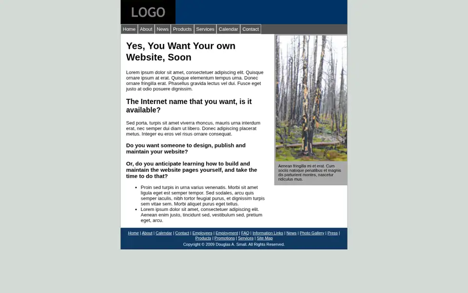1WebsiteNow website archived January 2011